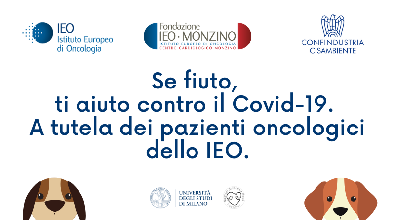 covid e cani covid e cani